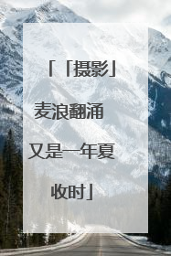 「摄影」麦浪翻涌 又是一年夏收时
