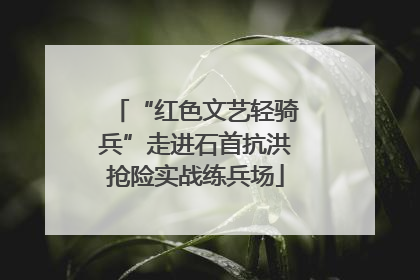 “红色文艺轻骑兵”走进石首抗洪抢险实战练兵场