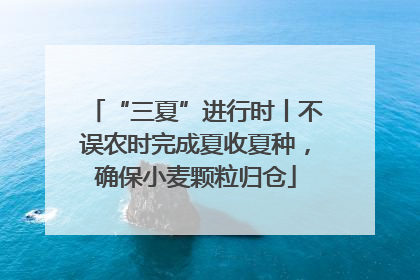 “三夏”进行时丨不误农时完成夏收夏种，确保小麦颗粒归仓