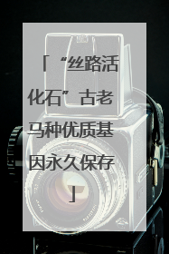 “丝路活化石”古老马种优质基因永久保存