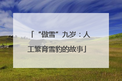 “傲雪”九岁：人工繁育雪豹的故事