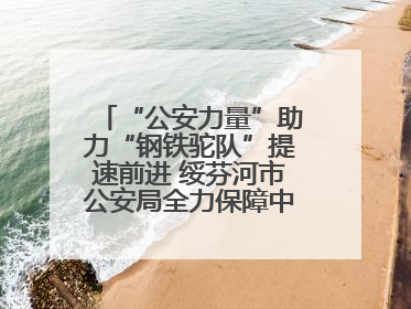 “公安力量”助力“钢铁驼队”提速前进 绥芬河市公安局全力保障中欧班列“东通道”绥芬河隧道贯通