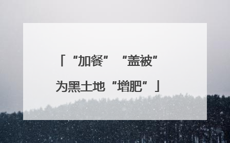 “加餐”“盖被” 为黑土地“增肥”