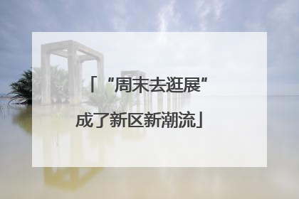 “周末去逛展”成了新区新潮流