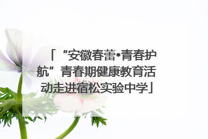 “安徽春蕾•青春护航”青春期健康教育活动走进宿松实验中学