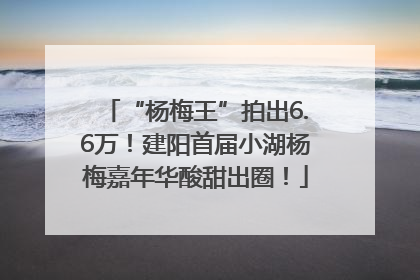 “杨梅王”拍出6.6万！建阳首届小湖杨梅嘉年华酸甜出圈！