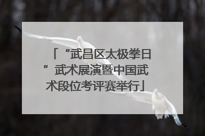 “武昌区太极拳日”武术展演暨中国武术段位考评赛举行