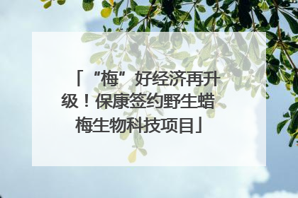 “梅”好经济再升级！保康签约野生蜡梅生物科技项目
