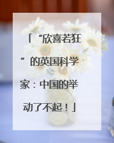 “欣喜若狂”的英国科学家：中国的举动了不起！