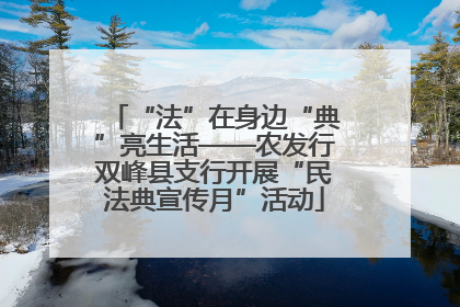 “法”在身边“典”亮生活——农发行双峰县支行开展“民法典宣传月”活动