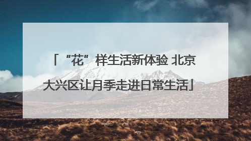 “花”样生活新体验 北京大兴区让月季走进日常生活
