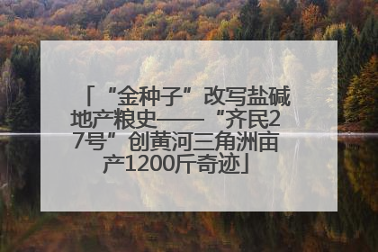 “金种子”改写盐碱地产粮史——“齐民27号”创黄河三角洲亩产1200斤奇迹