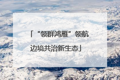 “领群鸿雁”领航边境共治新生态