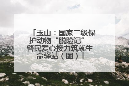 玉山：国家二级保护动物“脱险记” 警民爱心接力筑就生命驿站（图）