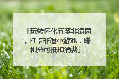 玩转怀化五溪非遗园，打卡非遗小游戏，赚积分可抵扣消费