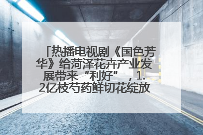 热播电视剧《国色芳华》给菏泽花卉产业发展带来“利好”，1.2亿枝芍药鲜切花绽放“国色芳华”