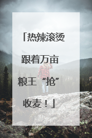 热辣滚烫 跟着万亩粮王“抢”收麦！