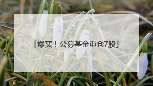 爆买！公募基金重仓7股