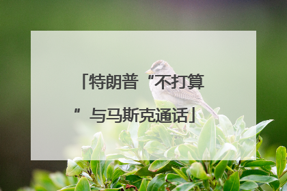 特朗普“不打算”与马斯克通话