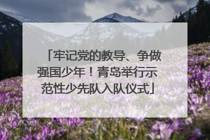 牢记党的教导、争做强国少年！青岛举行示范性少先队入队仪式