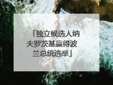 独立候选人纳夫罗茨基赢得波兰总统选举