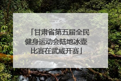 甘肃省第五届全民健身运动会陆地冰壶比赛在武威开赛
