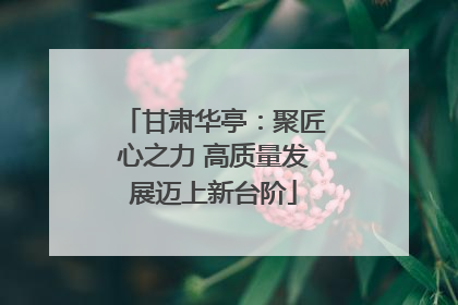 甘肃华亭：聚匠心之力 高质量发展迈上新台阶