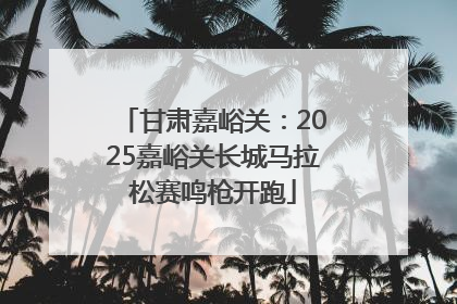 甘肃嘉峪关：2025嘉峪关长城马拉松赛鸣枪开跑