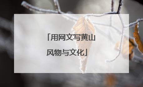 用网文写黄山风物与文化