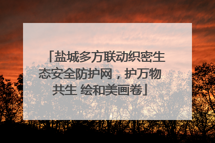 盐城多方联动织密生态安全防护网，护万物共生 绘和美画卷