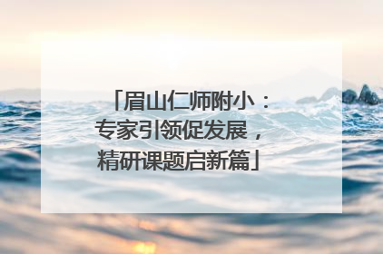 眉山仁师附小：专家引领促发展，精研课题启新篇
