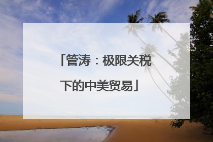 管涛：极限关税下的中美贸易