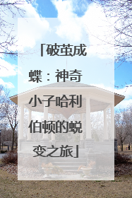 破茧成蝶：神奇小子哈利伯顿的蜕变之旅