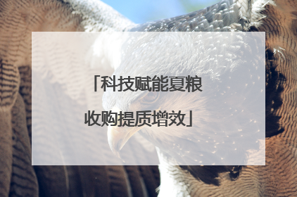 科技赋能夏粮收购提质增效