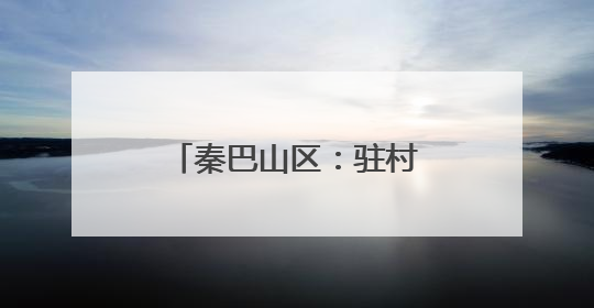 秦巴山区：驻村第一书记“组团服务”促振兴