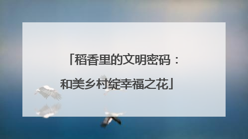 稻香里的文明密码：和美乡村绽幸福之花