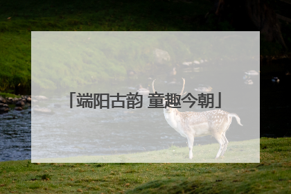 端阳古韵 童趣今朝