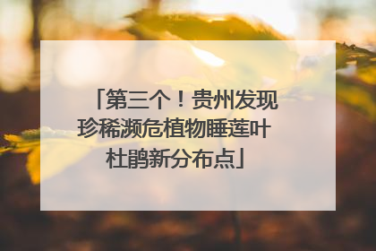 第三个！贵州发现珍稀濒危植物睡莲叶杜鹃新分布点