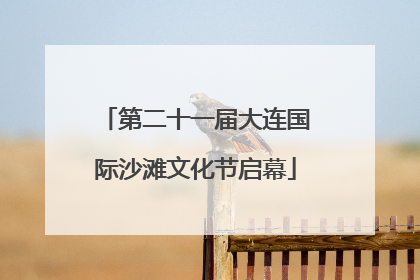 第二十一届大连国际沙滩文化节启幕