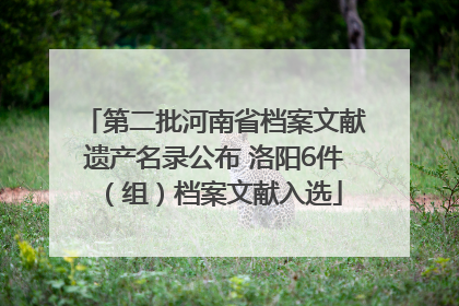 第二批河南省档案文献遗产名录公布 洛阳6件（组）档案文献入选
