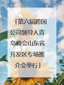 第六届跨国公司领导人青岛峰会山东省开发区专场推介会举行