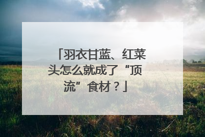 羽衣甘蓝、红菜头怎么就成了“顶流”食材？
