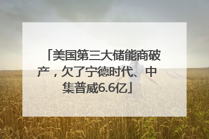 美国第三大储能商破产，欠了宁德时代、中集普威6.6亿