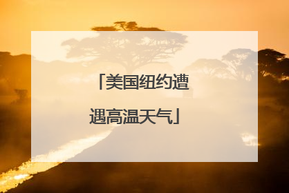 美国纽约遭遇高温天气