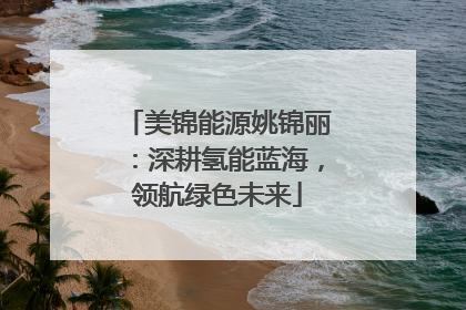美锦能源姚锦丽：深耕氢能蓝海，领航绿色未来