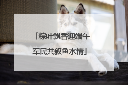 粽叶飘香迎端午 军民共叙鱼水情