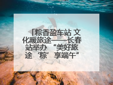 粽香盈车站 文化暖旅途——长春站举办 “美好旅途‘粽’享端午”主题活动