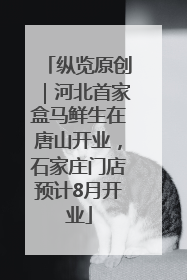 纵览原创｜河北首家盒马鲜生在唐山开业，石家庄门店预计8月开业