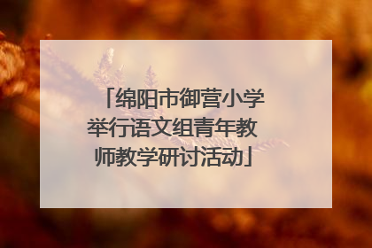绵阳市御营小学举行语文组青年教师教学研讨活动