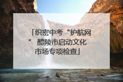 织密中考“护航网” 醴陵市启动文化市场专项检查